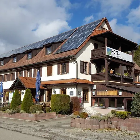 Seltenbacher Hof 3* 투틀링겐